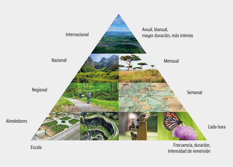 La Importancia de la Interacción Natural:⁣ NLP ⁢en los Asistentes Virtuales